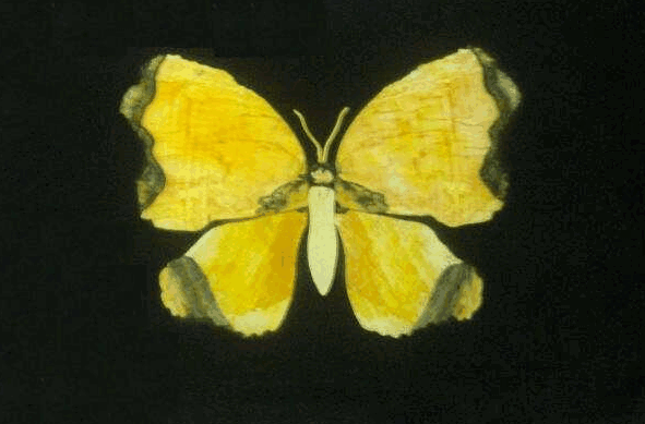 Carstairs QLD Your Accommodation