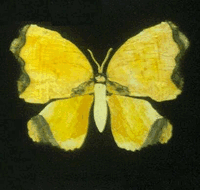 Ashworths - Your Accommodation