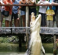 Hartley's Crocodile Adventures - Your Accommodation