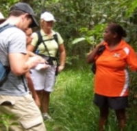 Ingan Tours - Spirit of the Rainforest Tour - Your Accommodation