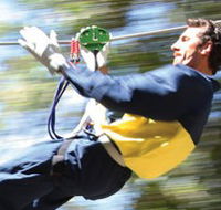 Adventure Parc - Your Accommodation