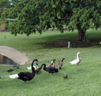 Anzac Park and Ululah Lagoon - Your Accommodation