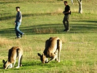 Southern Queensland Country QLD Your Accommodation