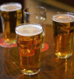 Argy Bargy - Your Accommodation 3