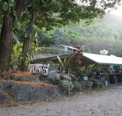 Ellis Beach Bar  Grill