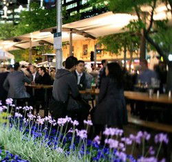 Quay Bar