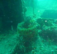 Wallaroo Scuba Club - Your Accommodation