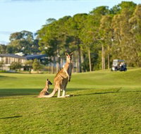 Sanctuary Cove Golf and Country Club - Your Accommodation