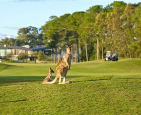 Sanctuary Cove Golf And Country Club - Your Accommodation 0
