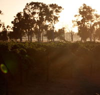 Evans  Tate - Your Accommodation