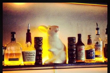 Hairy Canary - Your Accommodation 0