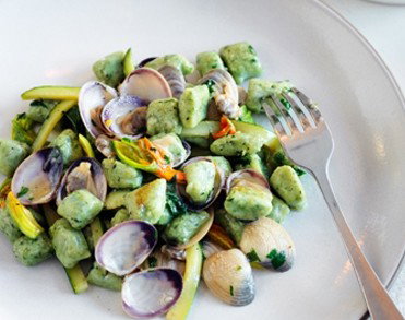 Uccello - Your Accommodation 4