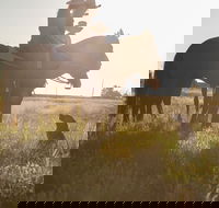 Balonne Cutting Horse Futurity - Your Accommodation