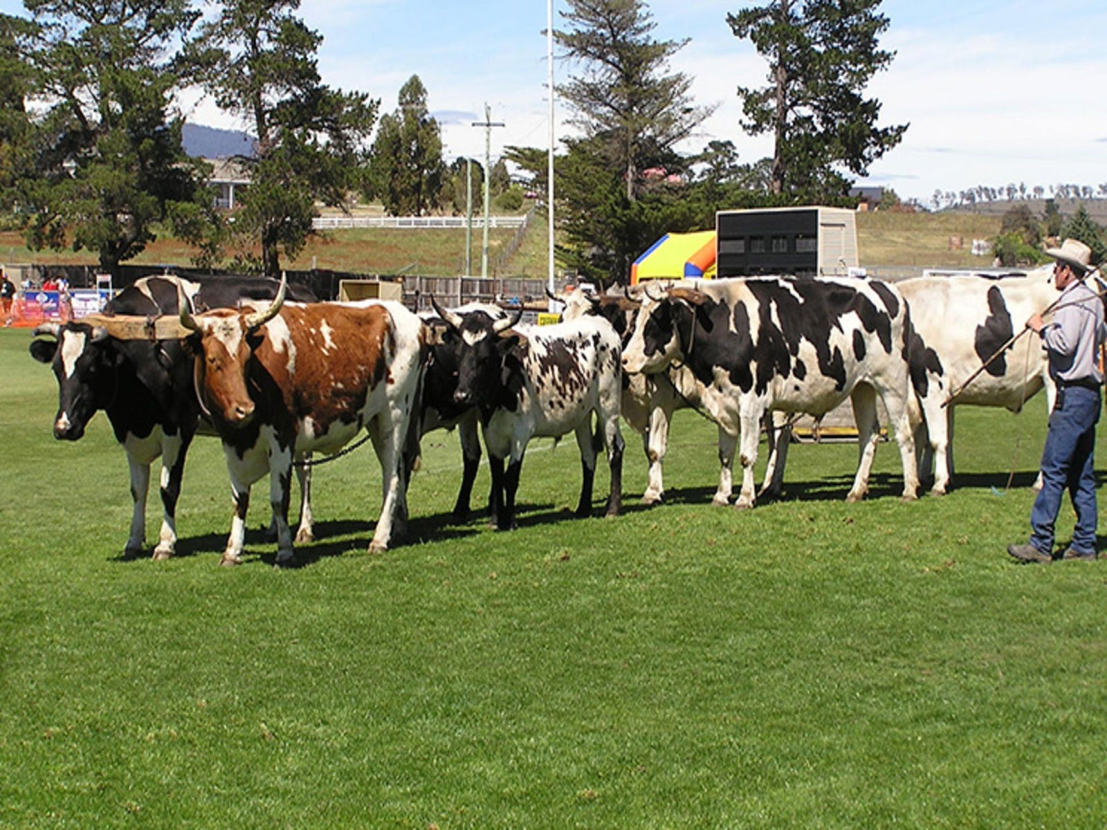 Brighton TAS Your Accommodation