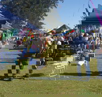 Casino Golf Club Markets - Your Accommodation