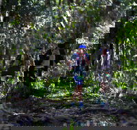 Elephant Trail Race - Your Accommodation