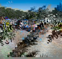 JetBlack Wild Wombat MTB Challenge - Your Accommodation