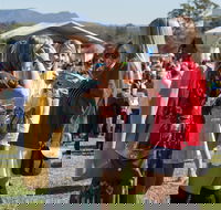 Lovedale Long Lunch - Your Accommodation