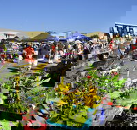 Maclean Community Monthly Markets - Your Accommodation