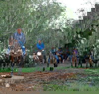 Night Horse Ride and Dinner - Your Accommodation