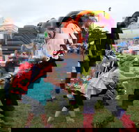 Pambula Show - Your Accommodation