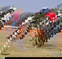 Pride of the West Races 2020 - Your Accommodation