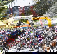 Snowies MTB Festival - Your Accommodation