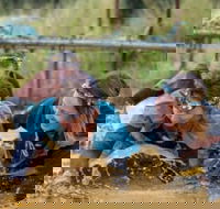 Suck It Up Buttercup Vikings Obstacle Course - Your Accommodation