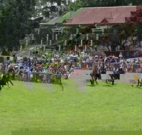 Tumut Derby Day - Your Accommodation