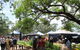 Violet Town Market - thumb 2