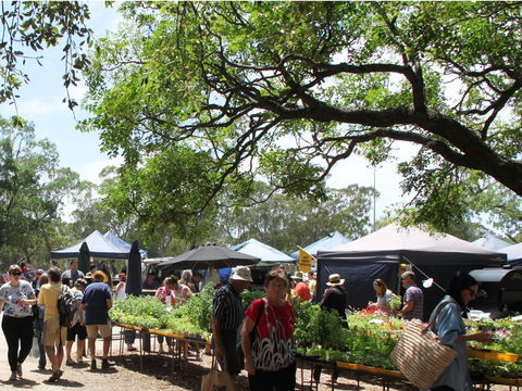 Violet Town Market - Your Accommodation 2