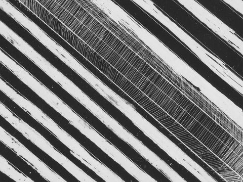 WA Now – Tom Mùller: Monolith Scores - Virtual Exhibition - Your Accommodation 1