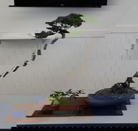 Wauchope Bonsai Workshop Group - Your Accommodation