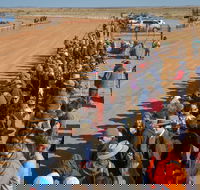 28th Marree Australasian CAMEL CUP 3 July 2021 - Your Accommodation