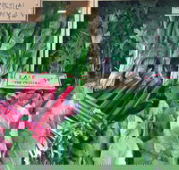 Albury Wodonga Farmers Market