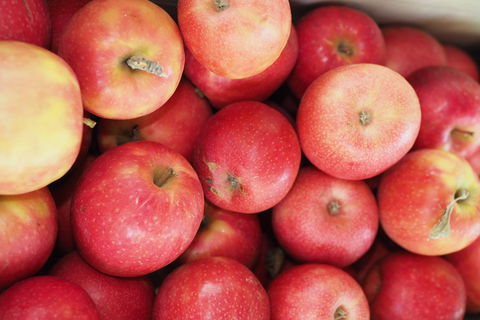 Blayney Farmers' Market - Your Accommodation 1