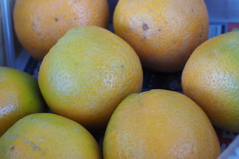 Blayney Farmers' Market - Your Accommodation 2