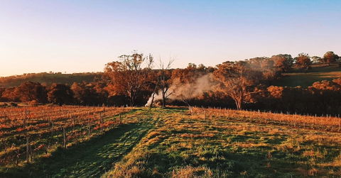 Cargo Road Wines Grande Fiamma - Your Accommodation 0