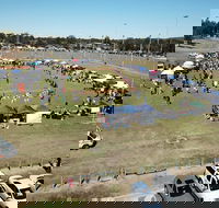 Dogs In the Park Swansea - Your Accommodation