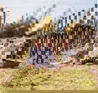 Family Picnic Weekend