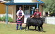 Festival Of The Big Cow - thumb 2
