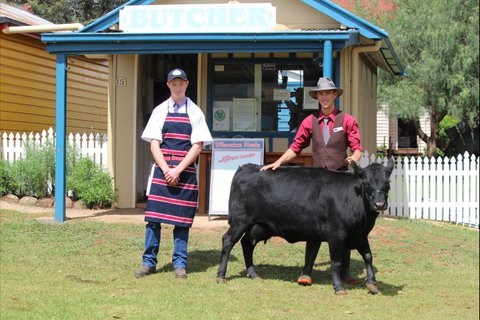 Festival Of The Big Cow - Your Accommodation 2