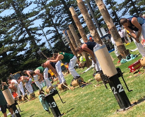 Kiama Show - Your Accommodation 1