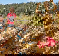 Mini Muddies Obstacle Challenge at Bunnamagoo Estate - Your Accommodation