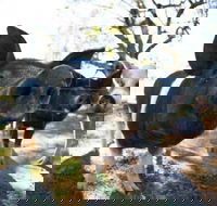 Mudgee Farm Walks - Your Accommodation