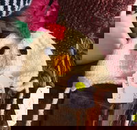 Murrindindi Beanie  Fibre Festival Online - Your Accommodation