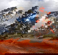 Sunraysia Safari Rally - Your Accommodation