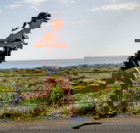 SunSmart Busselton Festival of Triathlon - Your Accommodation