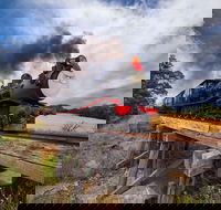 The Bellarine Railway Santa Train Specials - Your Accommodation