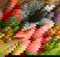 The Entrance Market - Your Accommodation